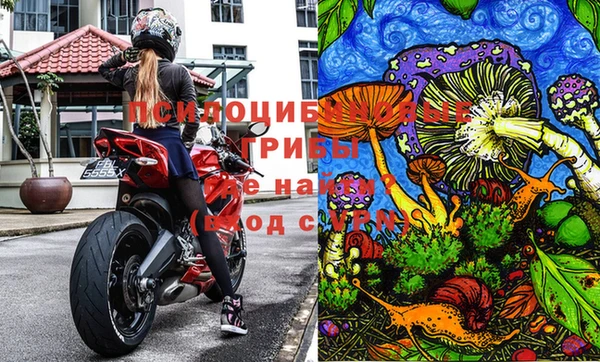 стафф Балахна