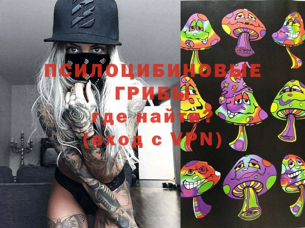 стафф Балахна